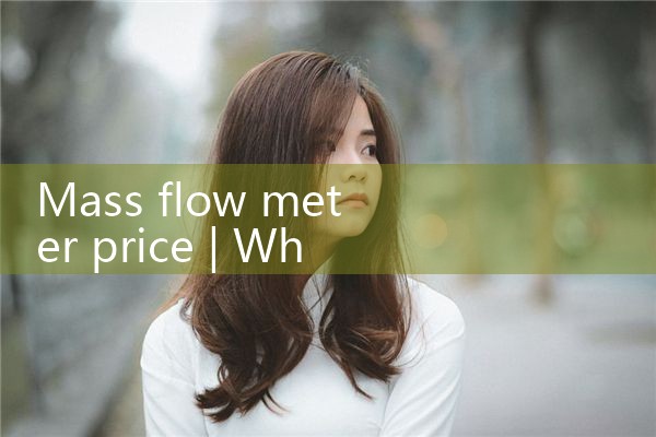 mass flow meter price|gas flow meter