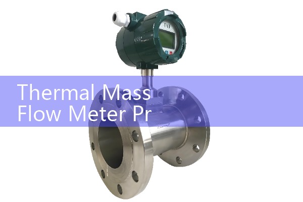 Thermal Mass Flow Meter Principle & Application