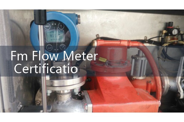 Fm Flow Meter Certification: Navigating Hazardous Area Explosion-Proof Requirements for Plant Equipment