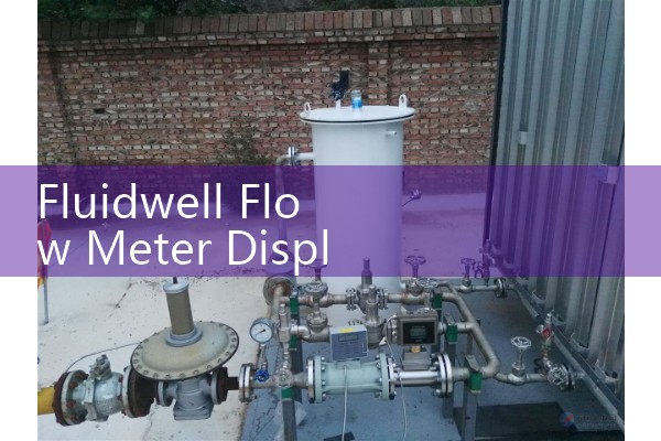 Fluidwell Flow Meter Displays: Configuring Rugged Explosion-Proof Totalizers and Rate Indicators