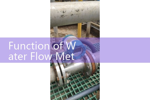 Function of water flow meter