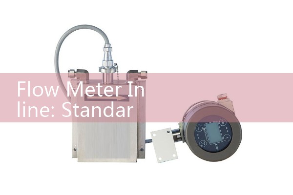 Eh mass flowmeter