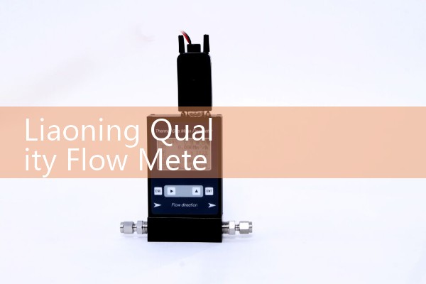 Liaoning Quality Flow Meter Model