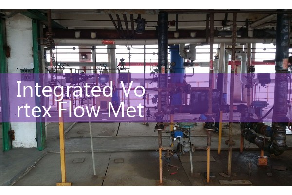 Flow meter manufacturer