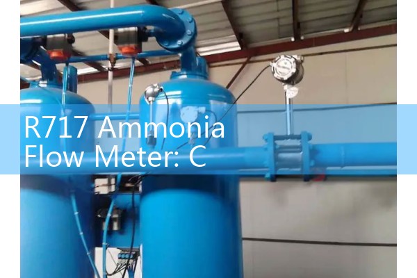 Mass flow meter caliber