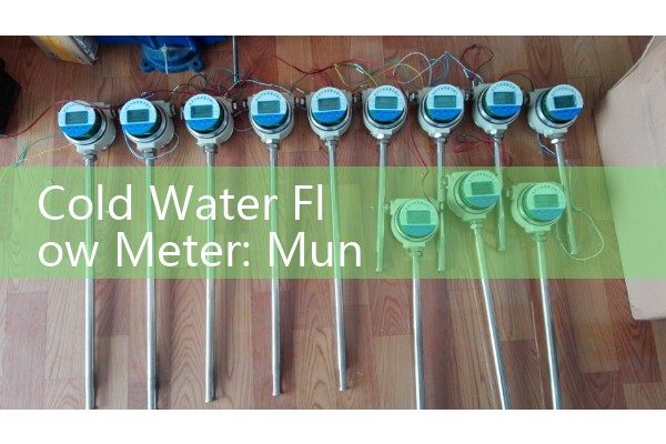 Cold Water Flow Meter: Municipal Utility Main Mechanical Volumetric Valves