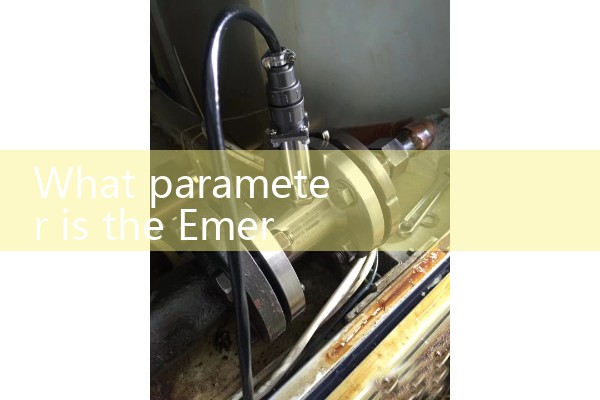 Emerson Quality Flow Meter from the United States