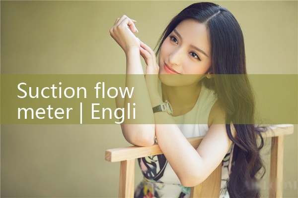 suction flow meter|thermal flow meter