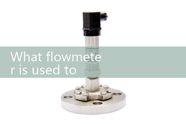 Hydrogen mass flow meter