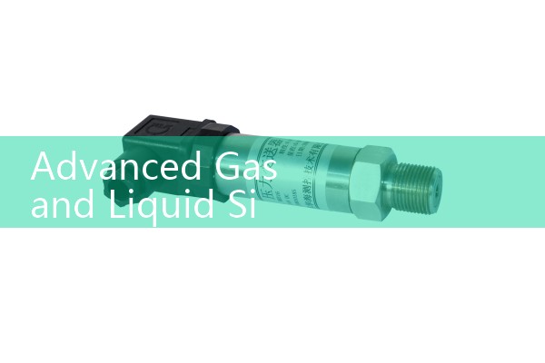 Advanced Gas and Liquid Sizing Using a High-Precision Mas Flow Meter