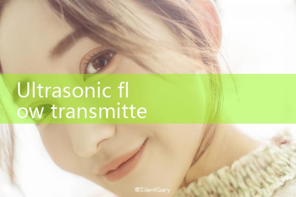 ultrasonic flow transmitter working principle|gas flow meter