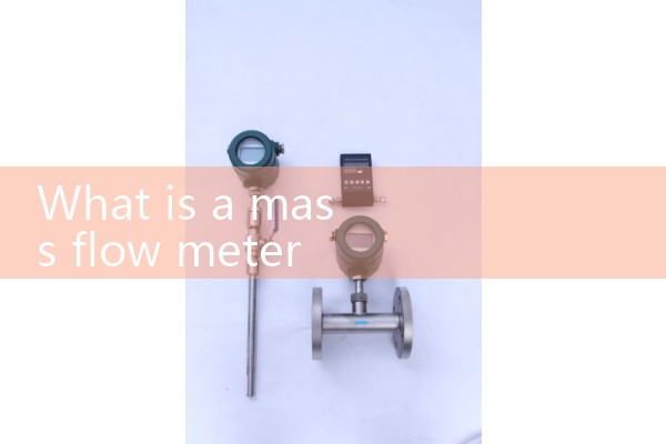 What is a mass flow meter