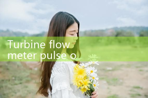 turbine flow meter pulse output|mass flow meter