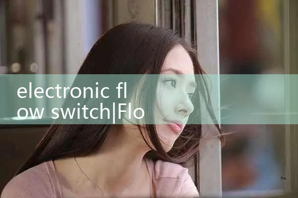 electronic flow switch|mass flow meter