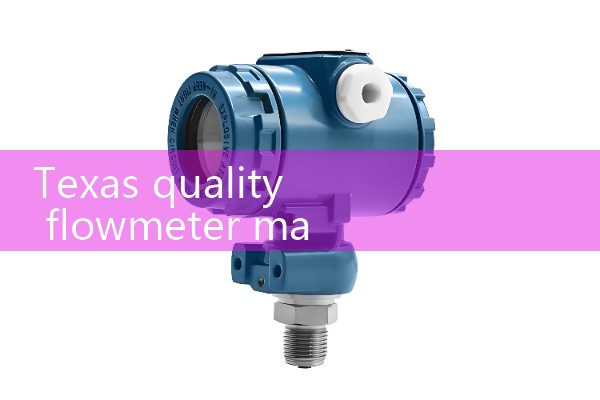 Texas quality flowmeter manufacturer quotation