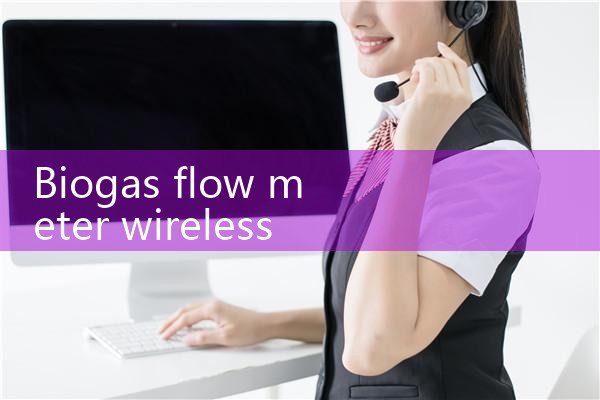 biogas flow meter wireless|flow meter distributor