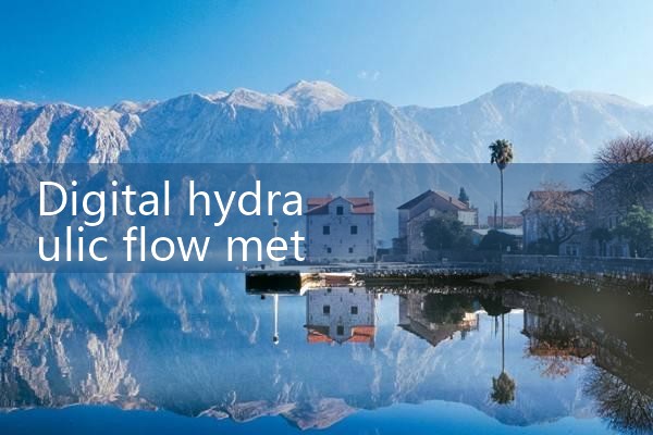 digital hydraulic flow meter|rotameter flow meter