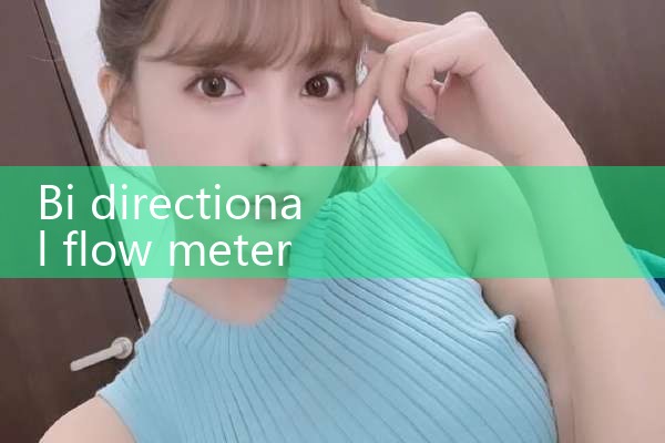 bi directional flow meter|rotameter flow meter