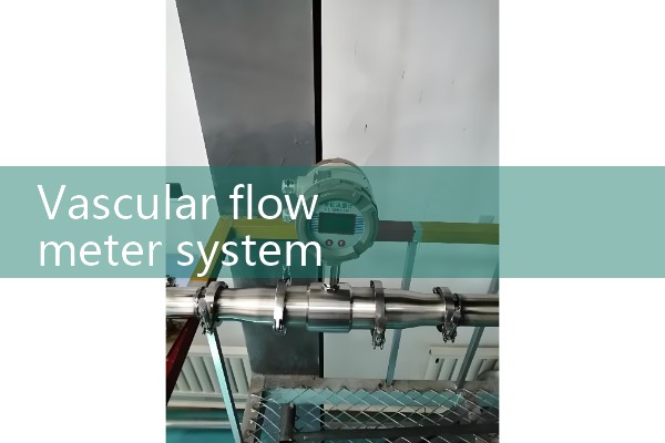 Vortex flowmeter air flow