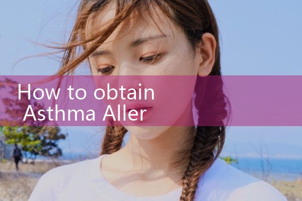 asthma|thermal flow meter