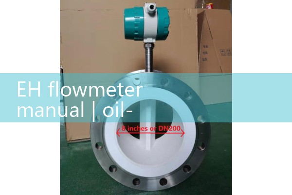 EH flowmeter manual