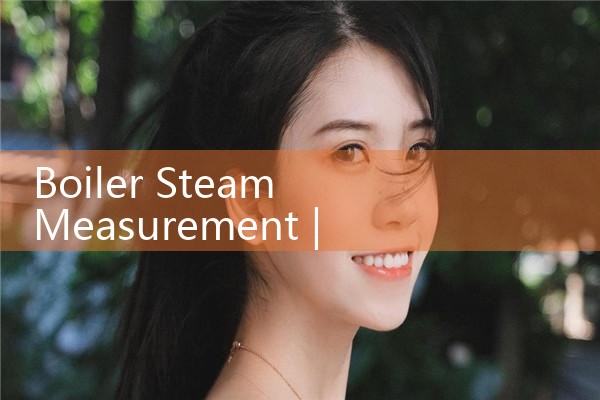 boiler steam measurement|balo meter