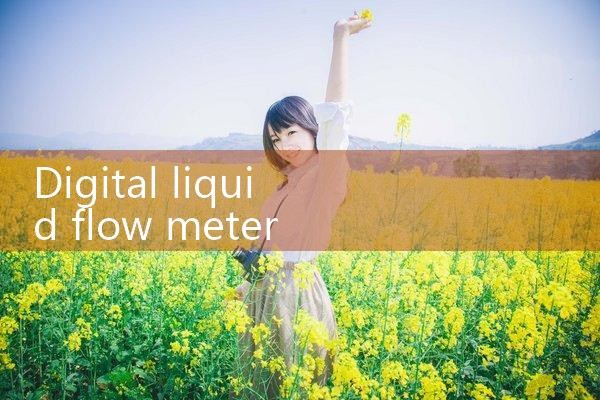 digital liquid flow meter|mass flow meter
