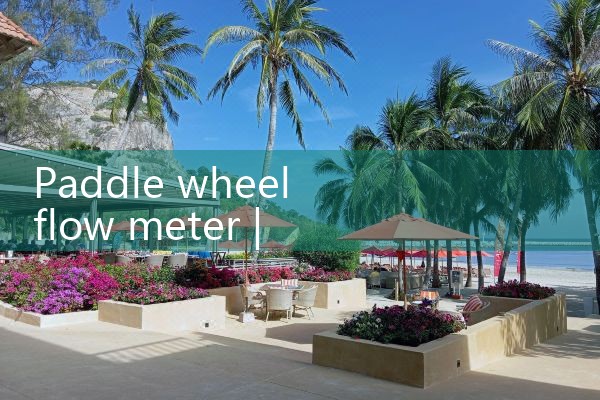 paddle wheel flow meter|mass flow meter