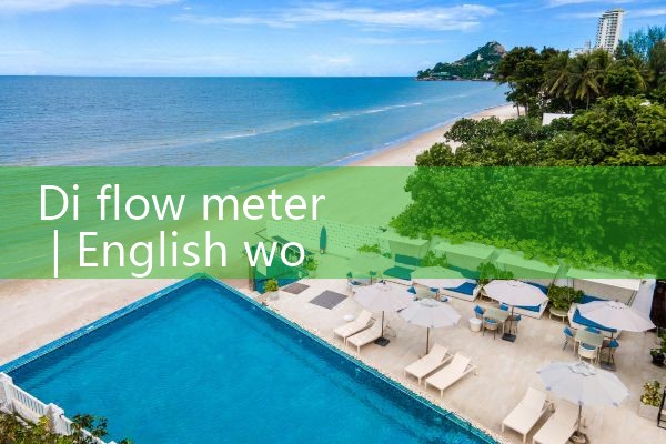 steam flow transmitter with display|balo meter