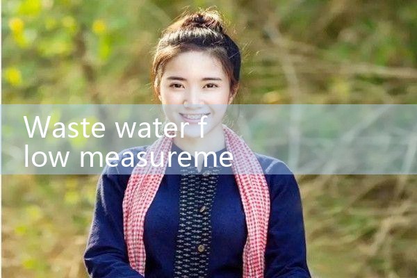 wastewater flow measurement|rotameter flow meter
