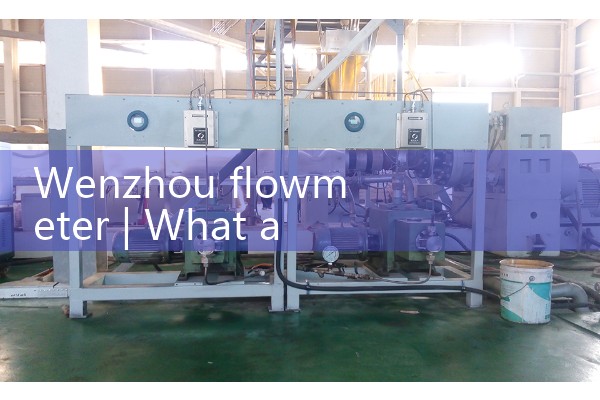 Wenzhou flowmeter