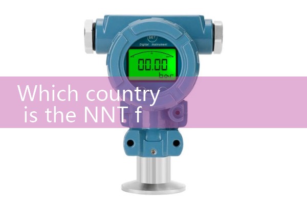 Aichi flowmeter