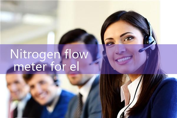 nitrogen flow meter for electronics|flow meter distributor