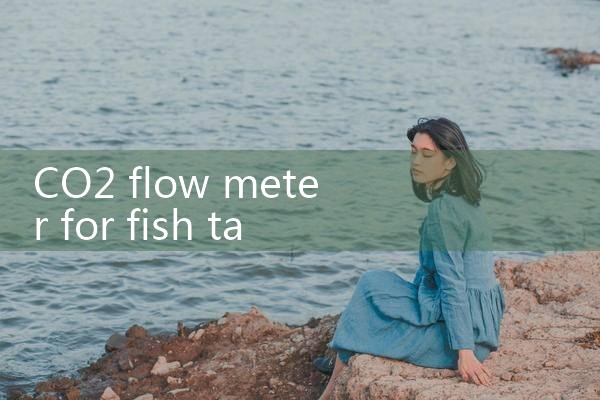 gas turbine flow meter|mass flow meter