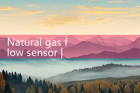natural gas flow sensor|balo meter