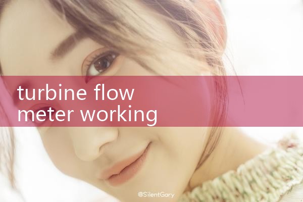 turbine flow meter working principle|mass flow meter