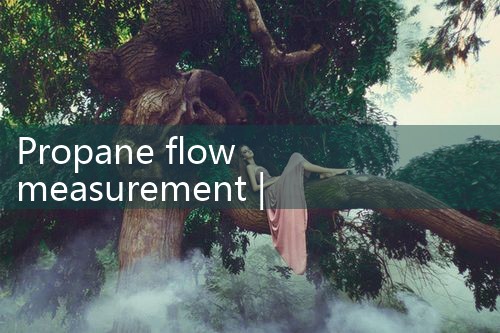 propane flow measurement|thermal flow meter