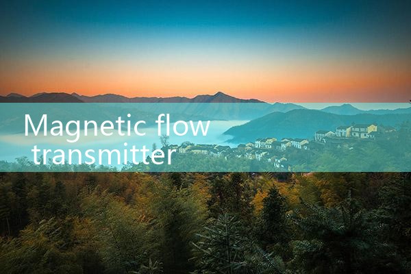 magnetic flow transmitter|rotameter flow meter