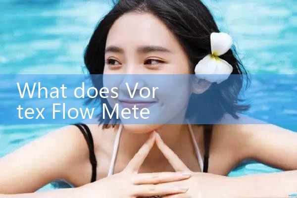 vortex flow meter 2 inch|mass flow meter