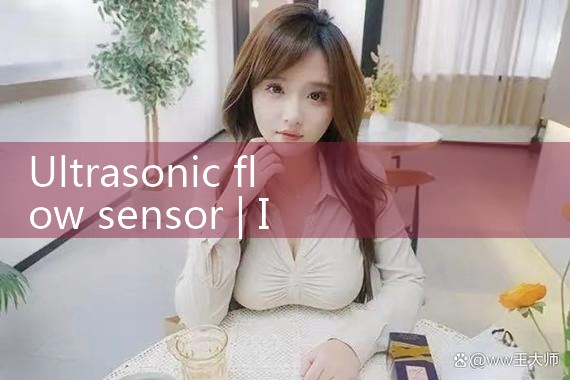 ultrasonic flow sensor|mass flow meter