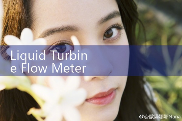 liquid turbine flow meter|rotameter flow meter