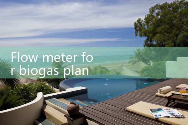 flow meter for biogas plant|digital flow meter