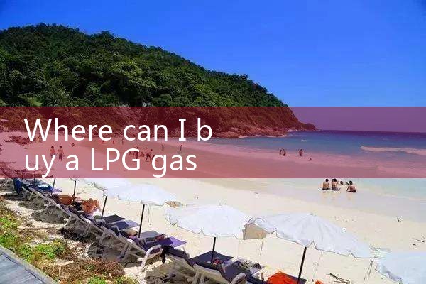 lpg gas consumption meter|digital flow meter