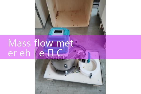 Mass flow meter eh