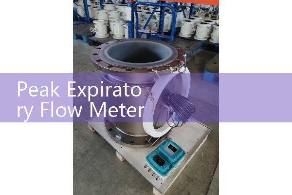 Peak Expiratory Flow Meter Readings: Daily Tracking Log Sheet