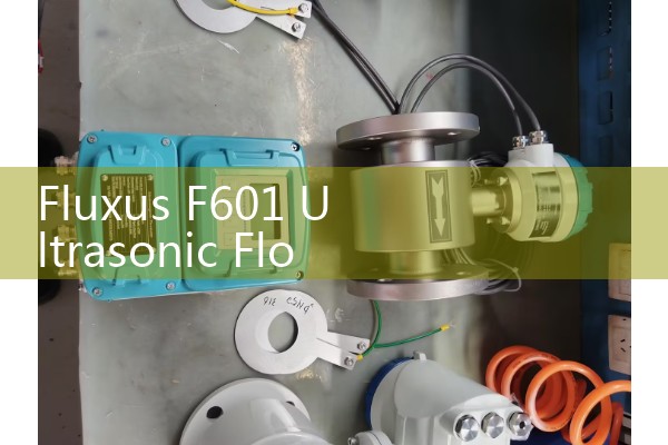 Fluxus F601 Ultrasonic Flow Meter Manual: Setting Up Portable Clamp-On Systems for On-Site Audits