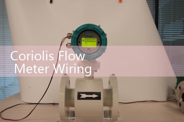 Coriolis Flow Meter Wiring Diagram: Connecting 4-20mA Outputs to Automation PLCs
