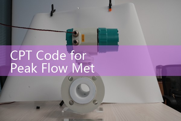 CPT Code for Peak Flow Meter Test: Healthcare Billing Sizing Guidelines