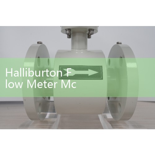 Halliburton Flow Meter Mc Ii Analyzer Manual: Programming Digital Totalizers for Well Testing