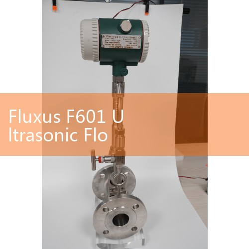 Fluxus F601 Ultrasonic Flow Meter Manual: Setting Up Portable Clamp-On Systems for On-Site Audits